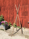 Hässjestör
